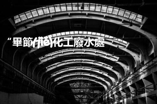 “畢節(jié)化工廢水處理方案：高效、可持續(xù)、環(huán)保”